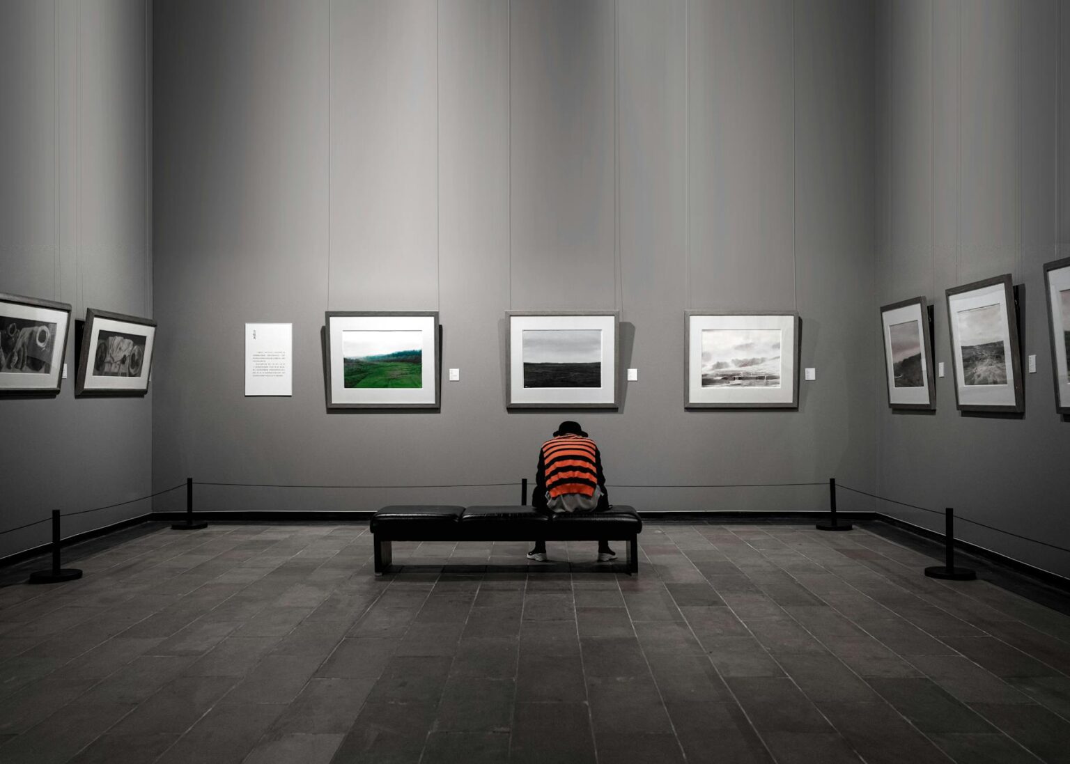 How Timothée Chalamet’s Art Collection Is Influencing Young Hollywood’s Investment Choices Contemporary art gallery interior with paintings displayed on white walls and professional lighting