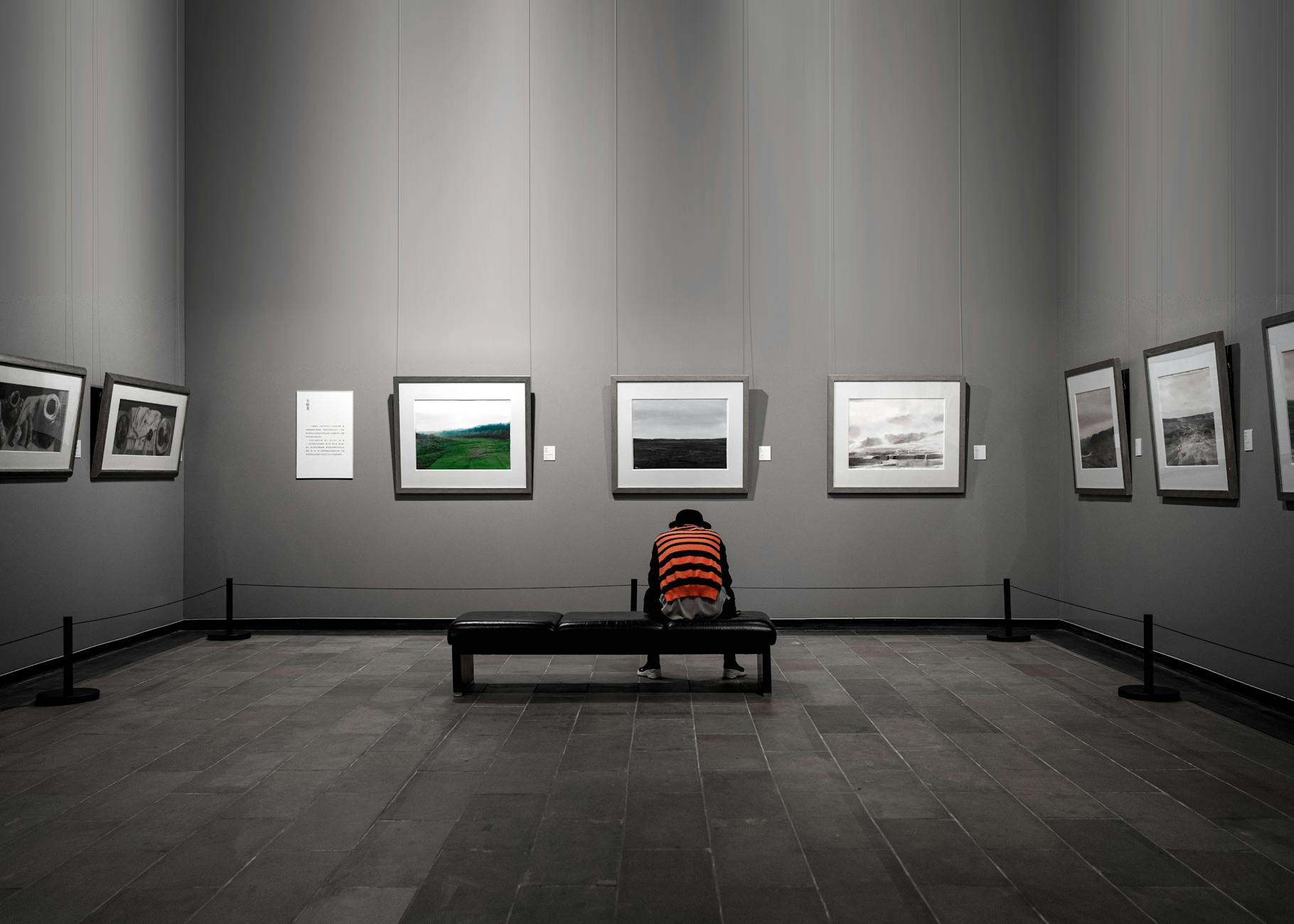 Contemporary art gallery interior with paintings displayed on white walls and professional lighting