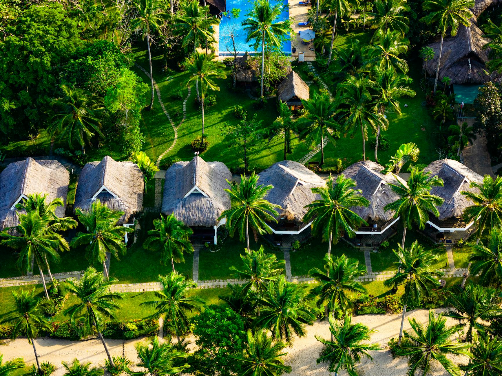 Luxury tropical wellness resort surrounded by lush rainforest vegetation