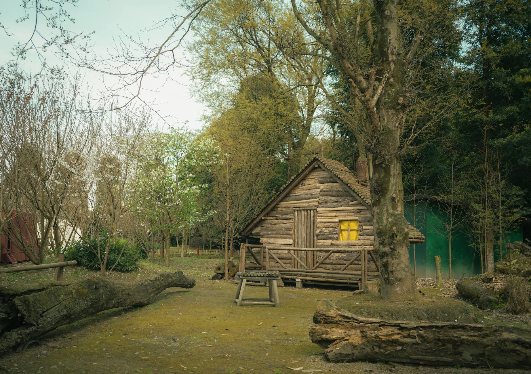 Rustic wooden cabin in forest setting representing creative retreat location