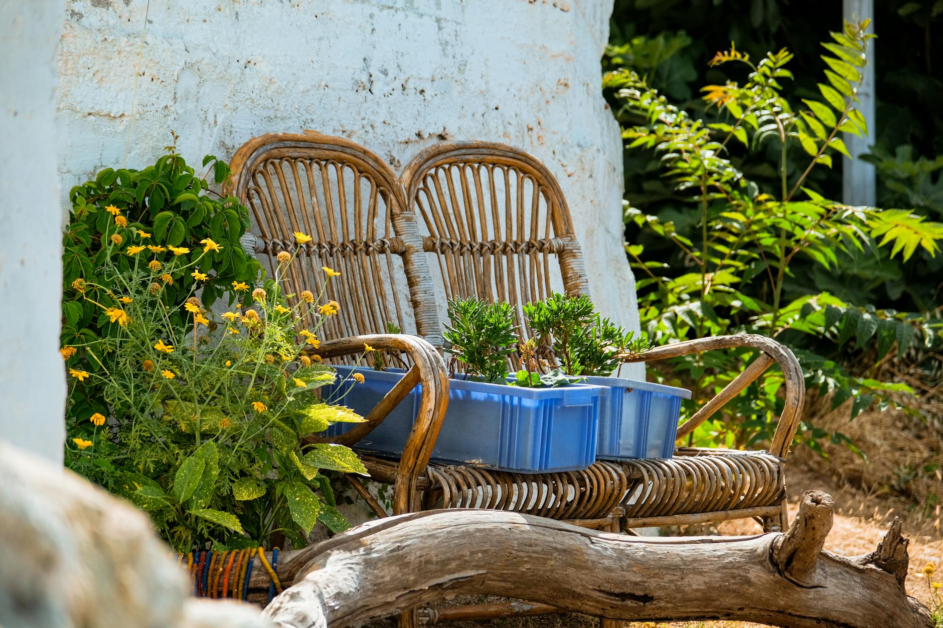 Eco-friendly wooden furniture pieces showcasing sustainable home design materials